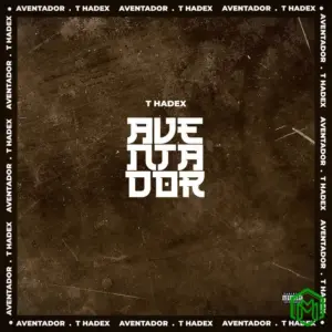 T Hadex - Aventador